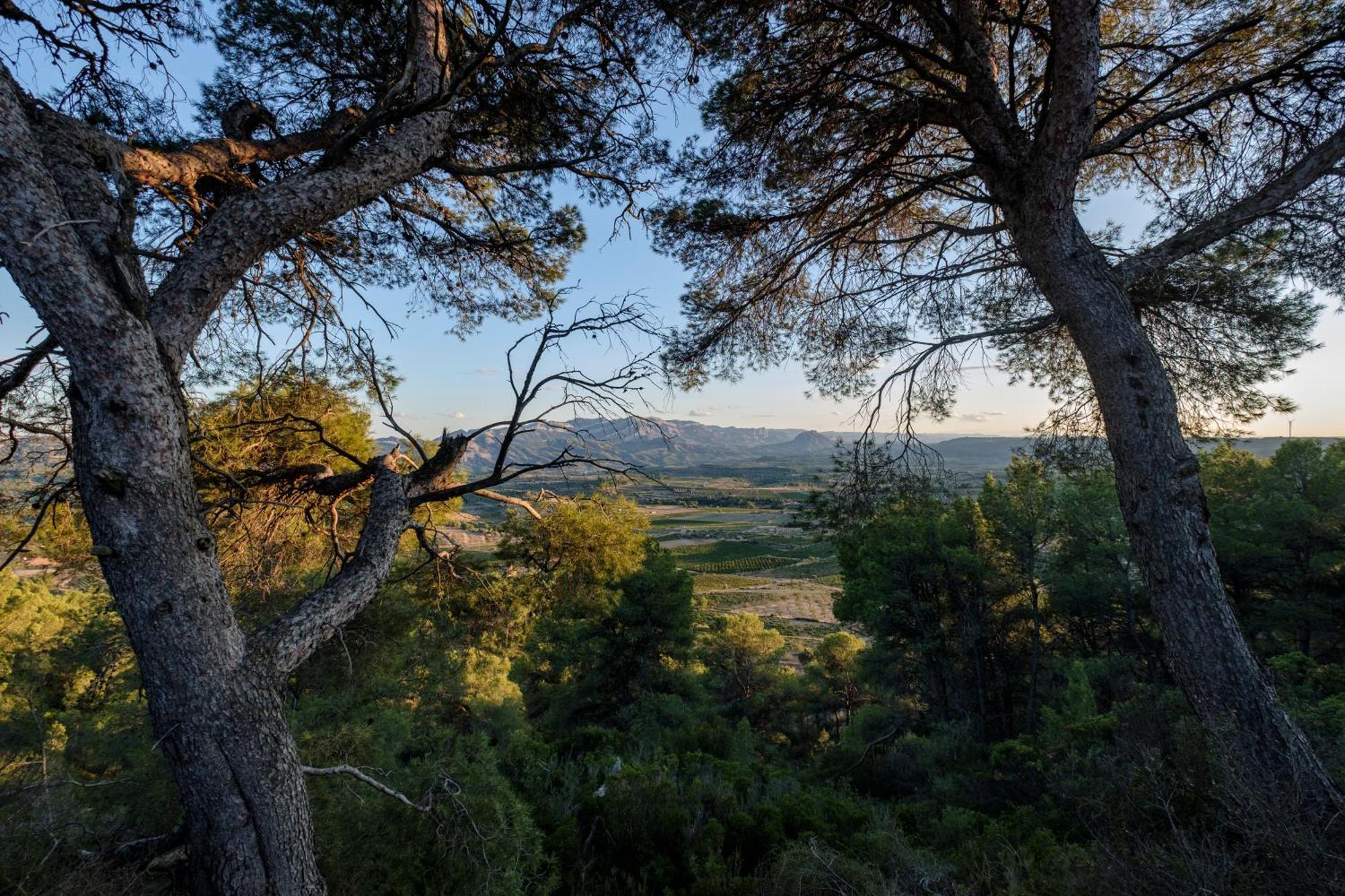 Apartament Enoturismo Celler Pinol Batea Zewnętrze zdjęcie
