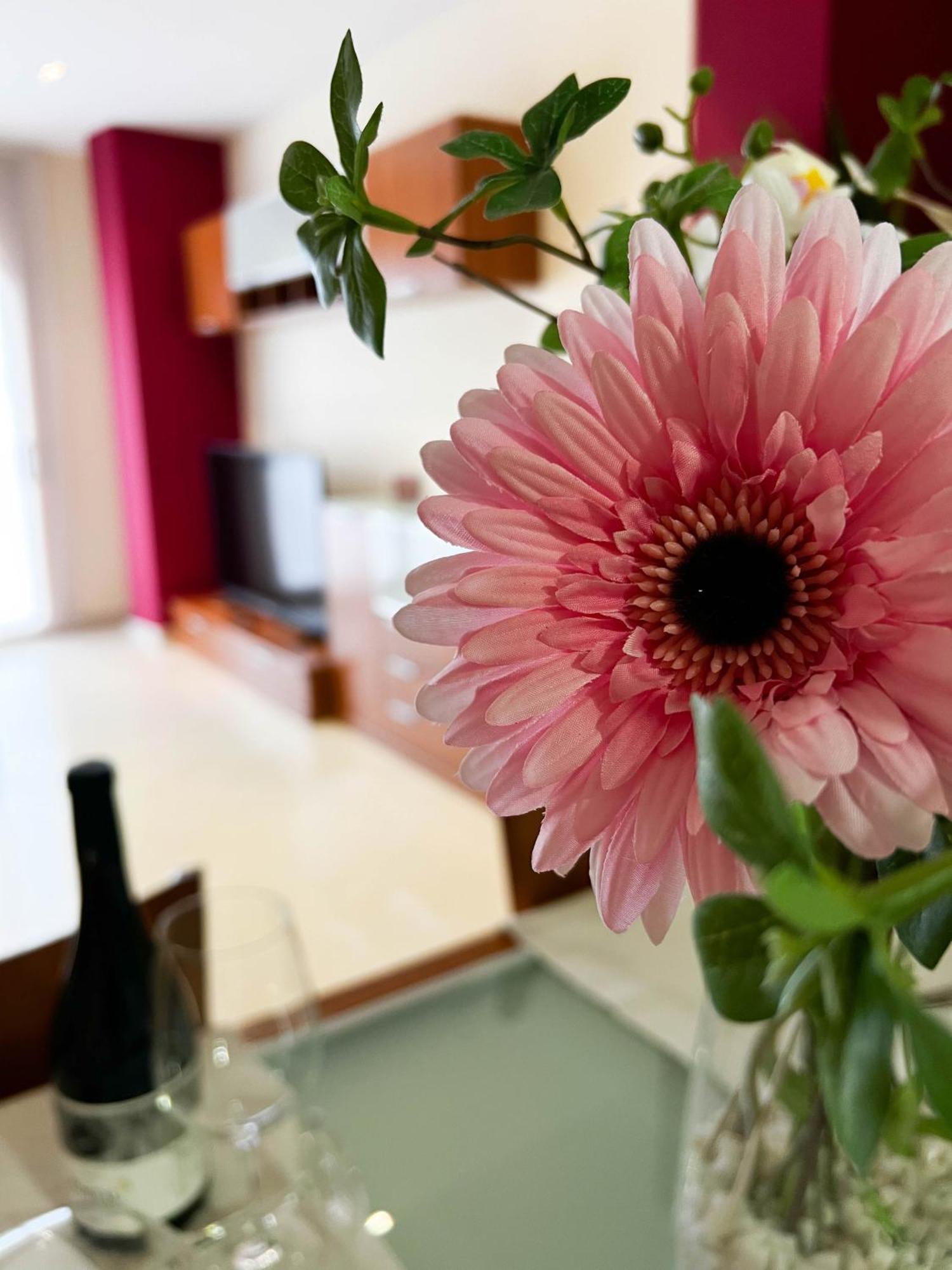 Apartament Enoturismo Celler Pinol Batea Zewnętrze zdjęcie